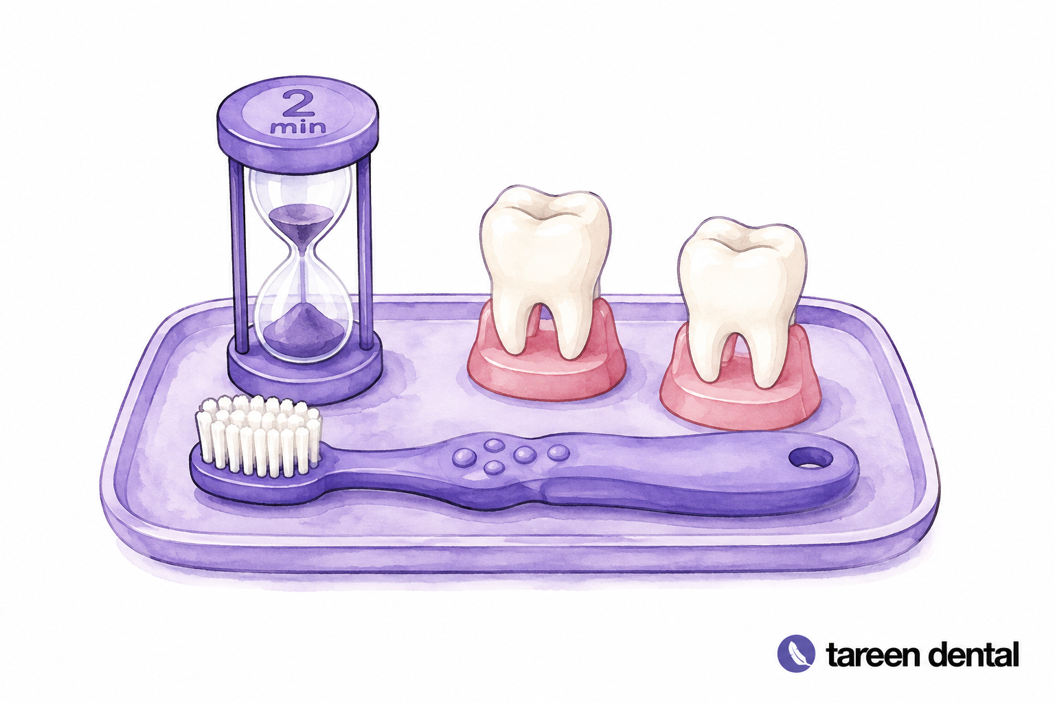 Small tooth models with a child-sized toothbrush and brushing timer.